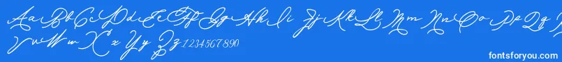 Allexandia-Schriftart – Weiße Schriften auf blauem Hintergrund