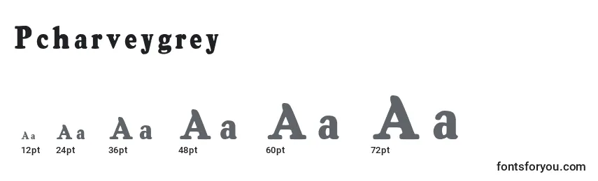 Размеры шрифта Pcharveygrey