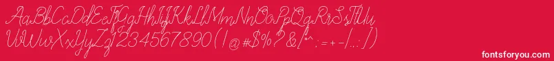 allexandrea Font – White Fonts on Red Background