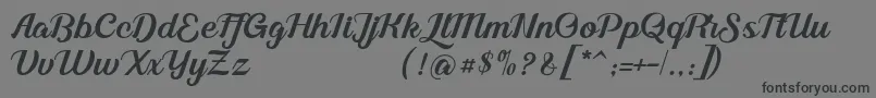 Alleyster DEMO Font – Black Fonts on Gray Background