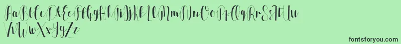 Allia Font – Black Fonts on Green Background