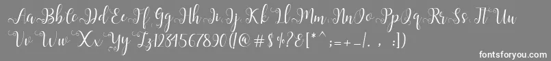 フォントAlliana Script  – 灰色の背景に白い文字