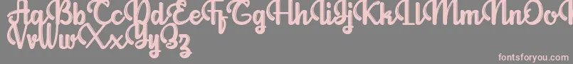 Allianta Personal Use Only Font – Pink Fonts on Gray Background