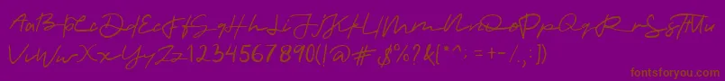 allinet-Schriftart – Braune Schriften auf violettem Hintergrund