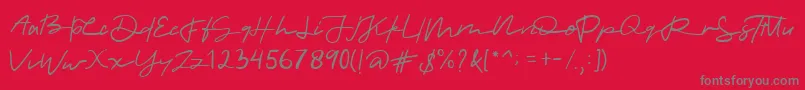 allinet-Schriftart – Graue Schriften auf rotem Hintergrund