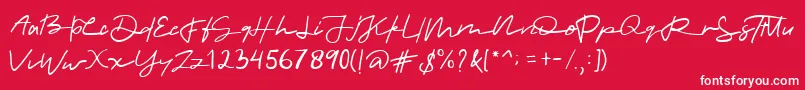 allinet Font – White Fonts on Red Background