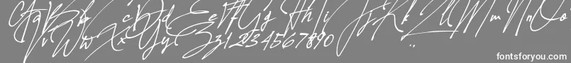 Allison Tessa Oblique Font – White Fonts on Gray Background