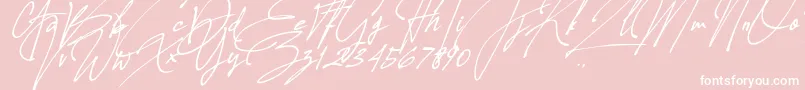 Allison Tessa Oblique Font – White Fonts on Pink Background