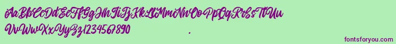 Allitha Font – Purple Fonts on Green Background