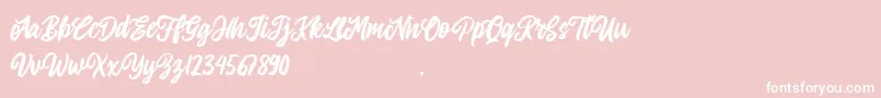 Allitha-Schriftart – Weiße Schriften auf rosa Hintergrund