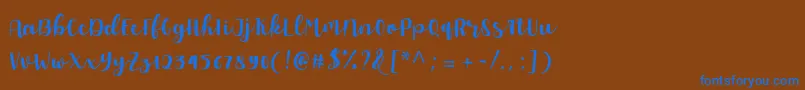 Allyca regular Personal Use Font – Blue Fonts on Brown Background