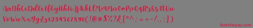 フォントAllyca regular Personal Use – 赤い文字の灰色の背景