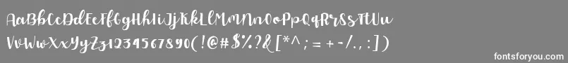 フォントAllyca regular Personal Use – 灰色の背景に白い文字