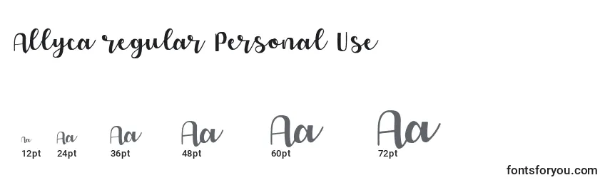 Размеры шрифта Allyca regular Personal Use