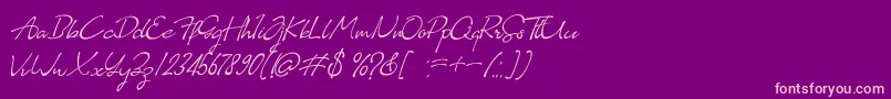 Almairah 02 Font – Pink Fonts on Purple Background