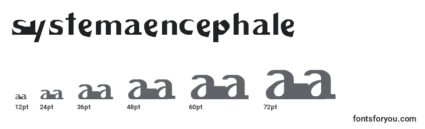 Размеры шрифта Systemaencephale