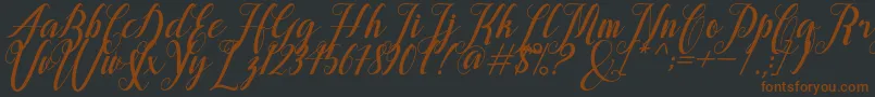 alongtime Font – Brown Fonts on Black Background