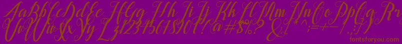 alongtime Font – Brown Fonts on Purple Background