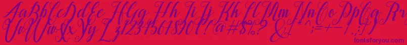 alongtime-Schriftart – Violette Schriften auf rotem Hintergrund