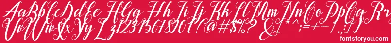 alongtime Font – White Fonts on Red Background