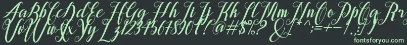 フォントalongtime – 黒い背景に緑の文字