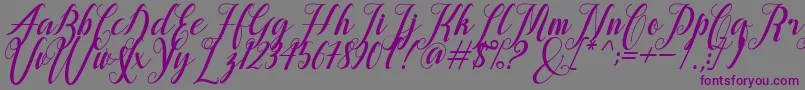 alongtime Font – Purple Fonts on Gray Background