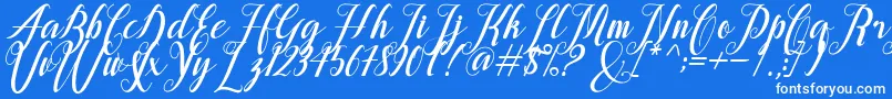 alongtime Font – White Fonts on Blue Background