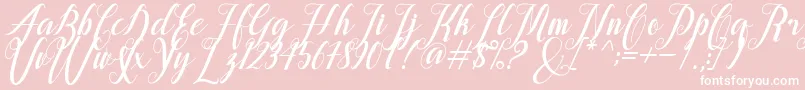 Шрифт alongtime – белые шрифты на розовом фоне