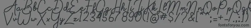 More about Aluria Font Aluria Font – Black Fonts on Gray Background