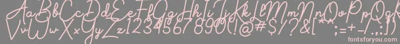 More about Aluria Font Aluria Font – Pink Fonts on Gray Background