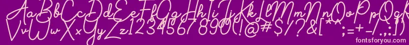 Aluria-Schriftart – Rosa Schriften auf violettem Hintergrund