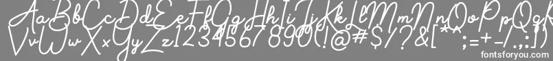 Aluria Font – White Fonts on Gray Background