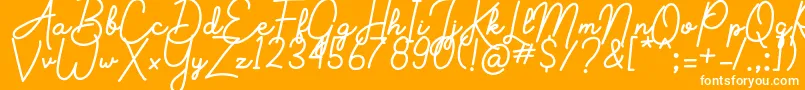 Aluria Font – White Fonts on Orange Background