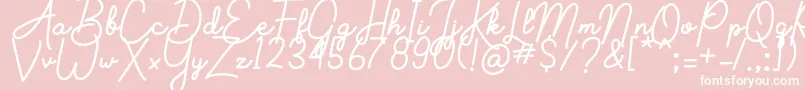 Aluria Font – White Fonts on Pink Background