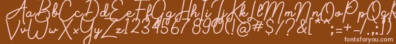 Aluria Font – Pink Fonts on Brown Background