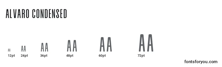 Размеры шрифта Alvaro Condensed