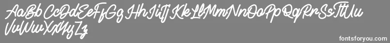 Alvaro FREE Font – White Fonts on Gray Background