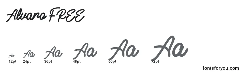 Alvaro FREE (119291) Font Sizes