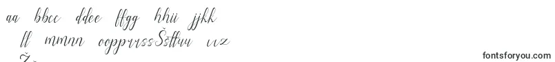 alysa scrip Font – Latvian Fonts