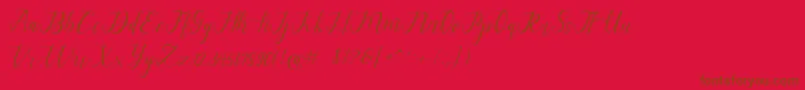 alysa scrip Font – Brown Fonts on Red Background