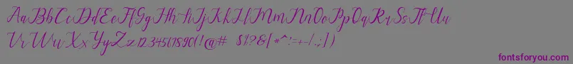 alysa scrip-Schriftart – Violette Schriften auf grauem Hintergrund