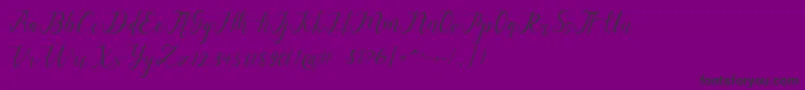 alysa scrip-fontti – mustat fontit violetilla taustalla