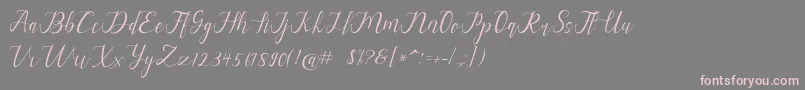 alysa scrip Font – Pink Fonts on Gray Background