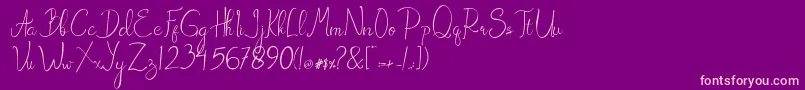 Amadora Font – Pink Fonts on Purple Background