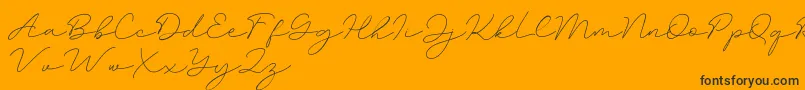 Amalina-Schriftart – Schwarze Schriften auf orangefarbenem Hintergrund