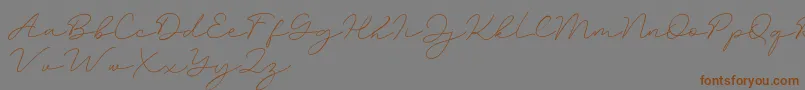 Amalina Font – Brown Fonts on Gray Background