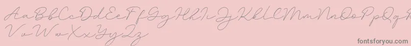 fuente Amalina – Fuentes Grises Sobre Fondo Rosa