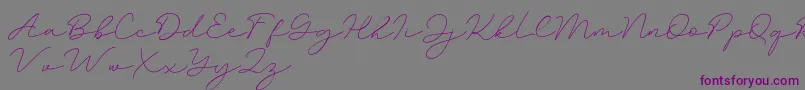 Amalina-Schriftart – Violette Schriften auf grauem Hintergrund