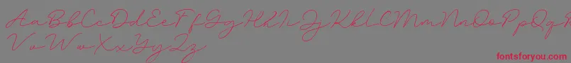 Amalina-Schriftart – Rote Schriften auf grauem Hintergrund