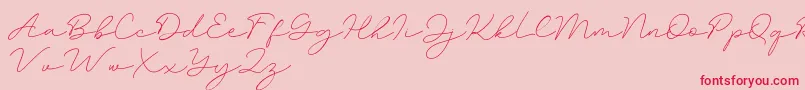 Amalina-Schriftart – Rote Schriften auf rosa Hintergrund